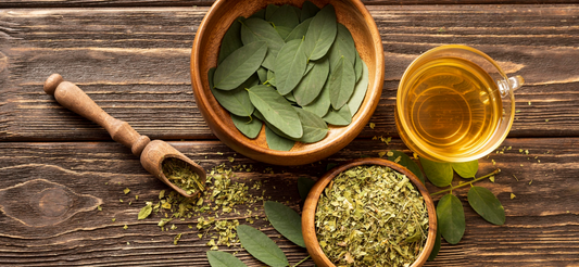 Ashwagandha: Benefits, Uses & Healing Potential